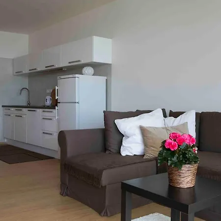 Apartament Palavske Vinohrady