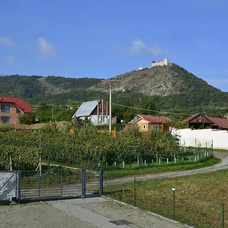 Palavske Vinohrady Pavlov