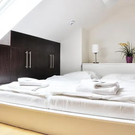 Apartament Palavske Vinohrady