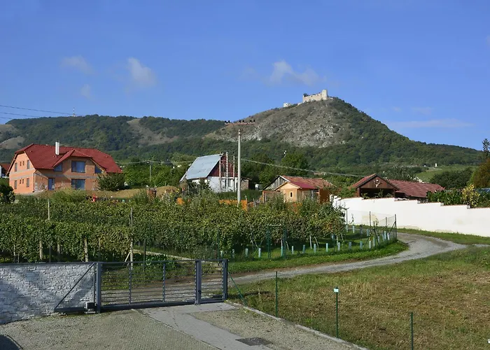 Palavske Vinohrady Pavlov